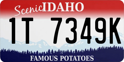 ID license plate 1T7349K