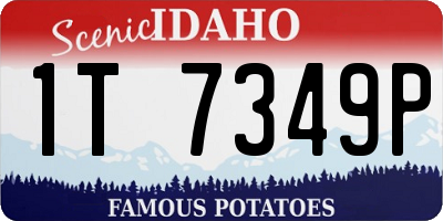 ID license plate 1T7349P