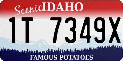 ID license plate 1T7349X