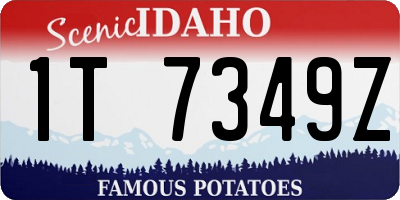 ID license plate 1T7349Z