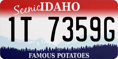 ID license plate 1T7359G
