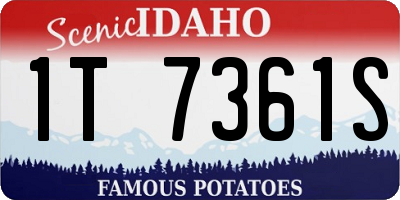 ID license plate 1T7361S