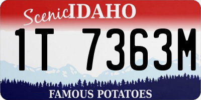 ID license plate 1T7363M