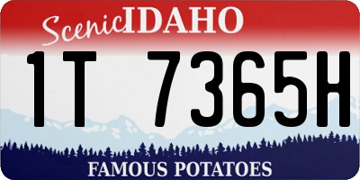 ID license plate 1T7365H
