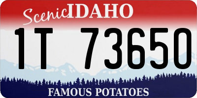 ID license plate 1T7365O