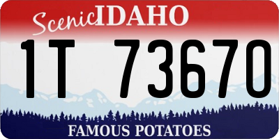 ID license plate 1T7367O