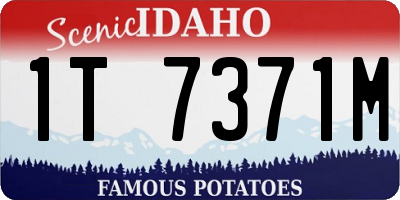 ID license plate 1T7371M