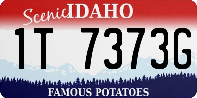 ID license plate 1T7373G