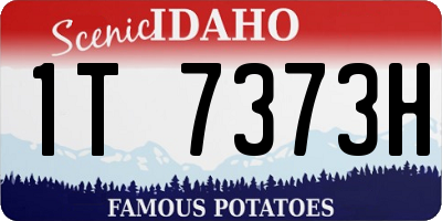 ID license plate 1T7373H