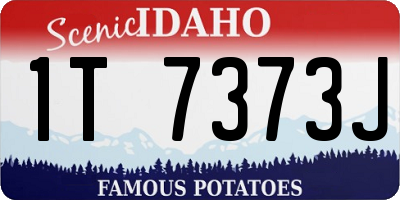 ID license plate 1T7373J