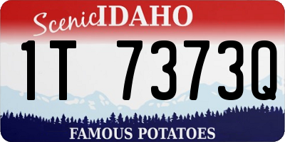 ID license plate 1T7373Q