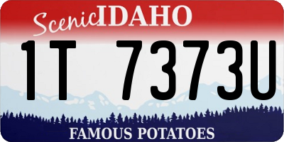 ID license plate 1T7373U