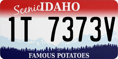 ID license plate 1T7373V