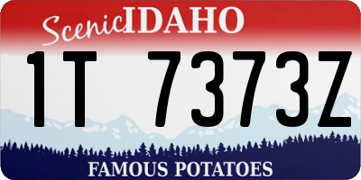 ID license plate 1T7373Z