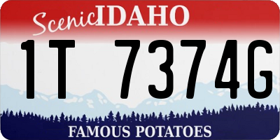 ID license plate 1T7374G
