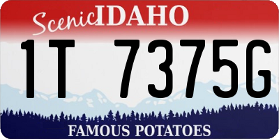 ID license plate 1T7375G