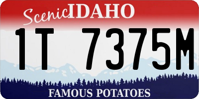 ID license plate 1T7375M
