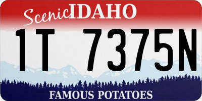 ID license plate 1T7375N