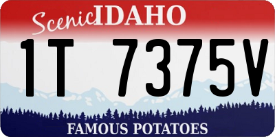 ID license plate 1T7375V