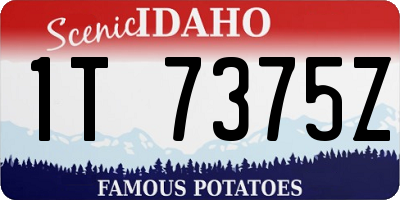 ID license plate 1T7375Z