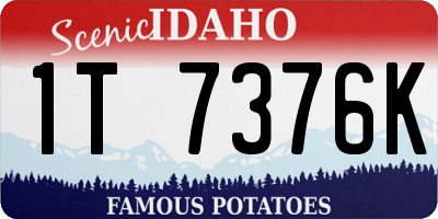 ID license plate 1T7376K