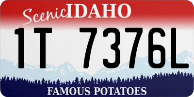 ID license plate 1T7376L