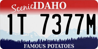 ID license plate 1T7377M