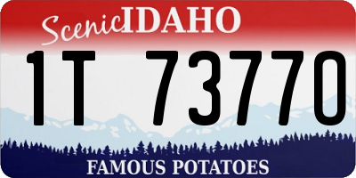 ID license plate 1T7377O