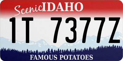 ID license plate 1T7377Z