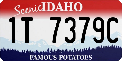 ID license plate 1T7379C