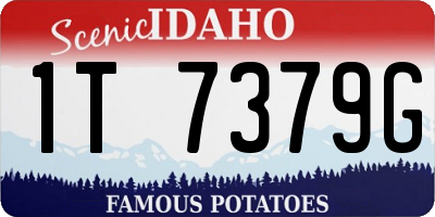 ID license plate 1T7379G