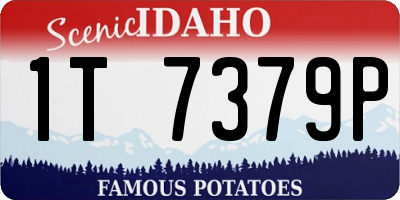 ID license plate 1T7379P