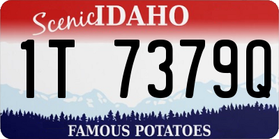 ID license plate 1T7379Q
