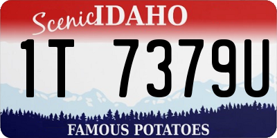 ID license plate 1T7379U