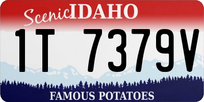 ID license plate 1T7379V
