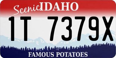 ID license plate 1T7379X