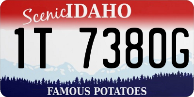 ID license plate 1T7380G