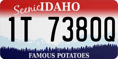 ID license plate 1T7380Q