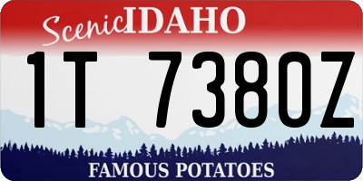 ID license plate 1T7380Z