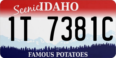 ID license plate 1T7381C