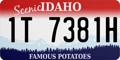 ID license plate 1T7381H