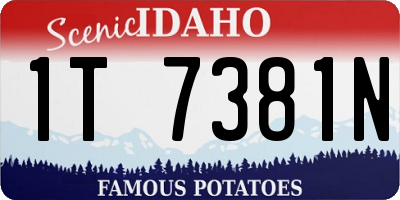 ID license plate 1T7381N