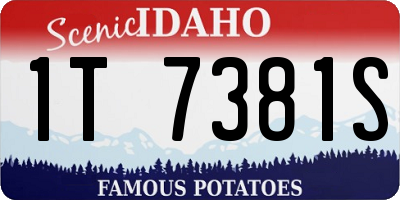 ID license plate 1T7381S