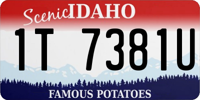 ID license plate 1T7381U