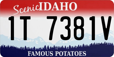 ID license plate 1T7381V