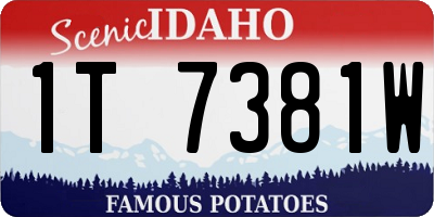 ID license plate 1T7381W