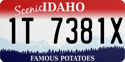 ID license plate 1T7381X