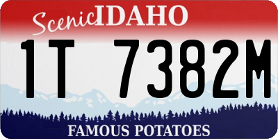 ID license plate 1T7382M
