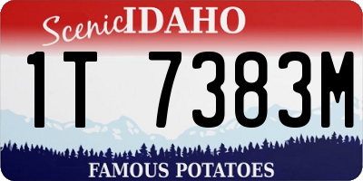 ID license plate 1T7383M