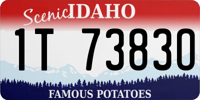 ID license plate 1T7383O